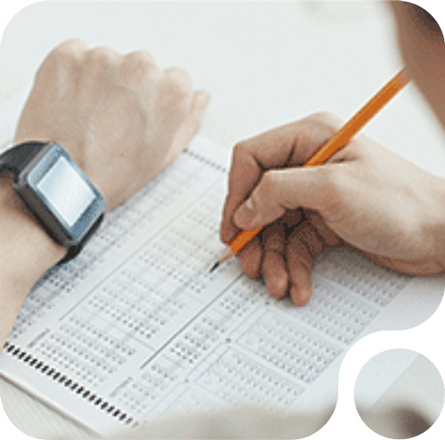 Test de Accesibilidad Web profesional